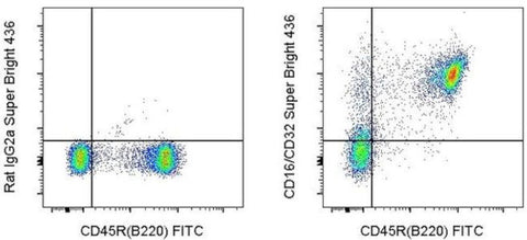CD16/CD32 Monoclonal Antibody (93), Super Bright 436, eBioscience