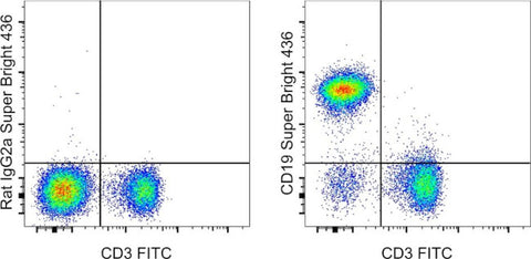 CD19 Monoclonal Antibody (eBio1D3 (1D3)), Super Bright 436, eBioscience