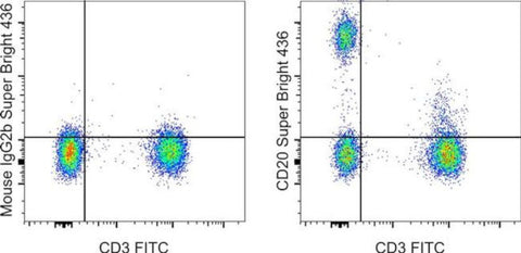 CD20 Monoclonal Antibody (2H7), Super Bright™ 436