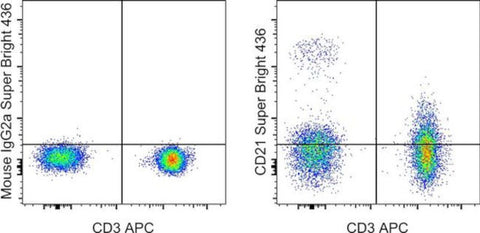 CD21 Monoclonal Antibody (HB5), Super Bright 436, eBioscience