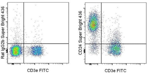 CD24 Monoclonal Antibody (M1/69), Super Bright 436, eBioscience