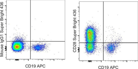 CD28 Monoclonal Antibody (CD28.2), Super Bright™ 436