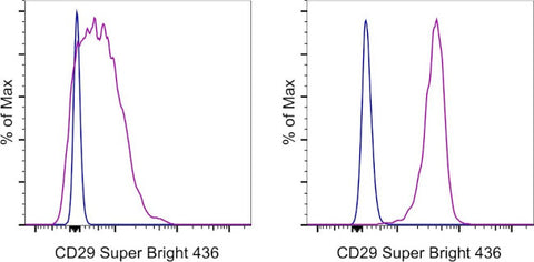 CD29 (Integrin beta 1) Monoclonal Antibody (TS2/16), Super Bright 436, eBioscience