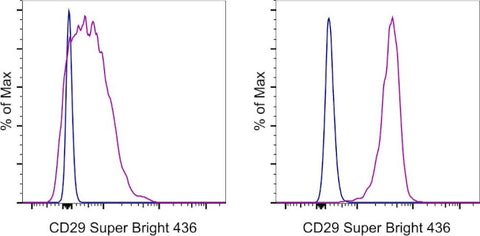 CD29 (Integrin beta 1) Monoclonal Antibody (TS2/16), Super Bright™ 436