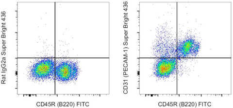 CD31 (PECAM-1) Monoclonal Antibody (390), Super Bright™ 436