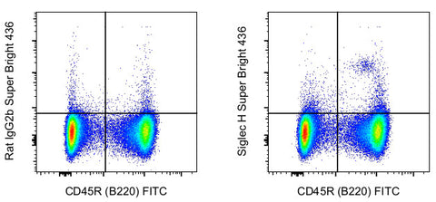 SIGLEC H Monoclonal Antibody (eBio440c), Super Bright™ 436