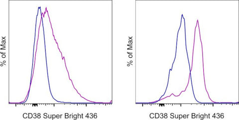 CD38 Monoclonal Antibody (HIT2), Super Bright 436, eBioscience