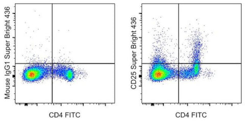 CD25 Monoclonal Antibody (OX39), Super Bright 436, eBioscience