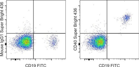 CD40 Monoclonal Antibody (5C3), Super Bright 436, eBioscience