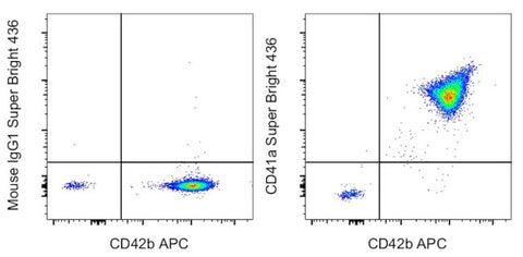 CD41a Monoclonal Antibody (HIP8), Super Bright 436, eBioscience