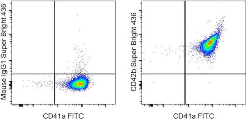 CD42b Monoclonal Antibody (HIP1), Super Bright 436, eBioscience