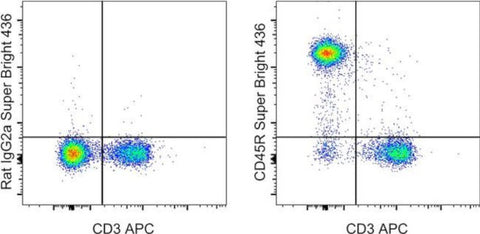 CD45R (B220) Monoclonal Antibody (RA3-6B2), Super Bright 436, eBioscience