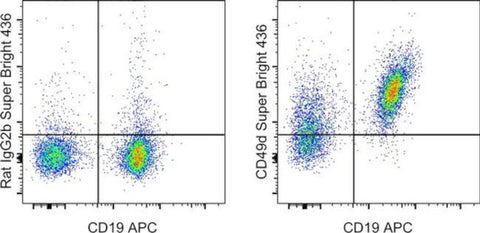 CD49d (Integrin alpha 4) Monoclonal Antibody (R1-2), Super Bright 436, eBioscience
