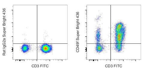 CD49f (Integrin alpha 6) Monoclonal Antibody (eBioGoH3 (GoH3)), Super Bright 436, eBioscience