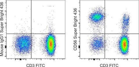 CD56 (NCAM) Monoclonal Antibody (TULY56), Super Bright 436, eBioscience