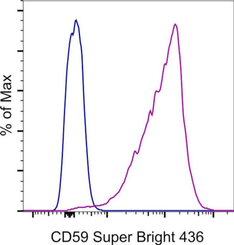 CD59 (Protectin) Monoclonal Antibody (OV9A2), Super Bright 436, eBioscience