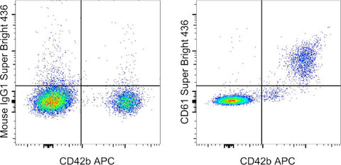 CD61 (Integrin beta 3) Monoclonal Antibody (VI-PL2), Super Bright 436, eBioscience