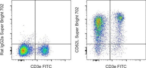 CD62L (L-Selectin) Monoclonal Antibody (MEL-14), Super Bright 702, eBioscience