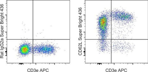 CD62L (L-Selectin) Monoclonal Antibody (MEL-14), Super Bright 436, eBioscience
