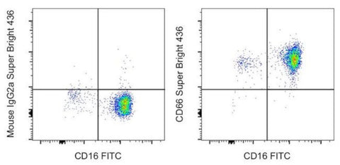 CD66 Monoclonal Antibody (CD66a-B1.1), Super Bright 436, eBioscience