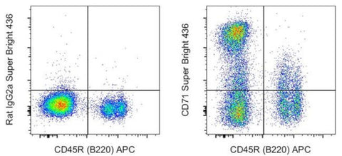 CD71 (Transferrin Receptor) Monoclonal Antibody (R17217 (RI7 217.1.4)), Super Bright 436, eBioscience