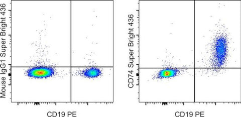 CD74 Monoclonal Antibody (5-329), Super Bright 436, eBioscience