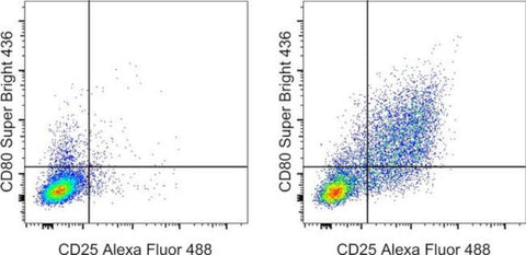 CD80 (B7-1) Monoclonal Antibody (16-10A1), Super Bright 436, eBioscience