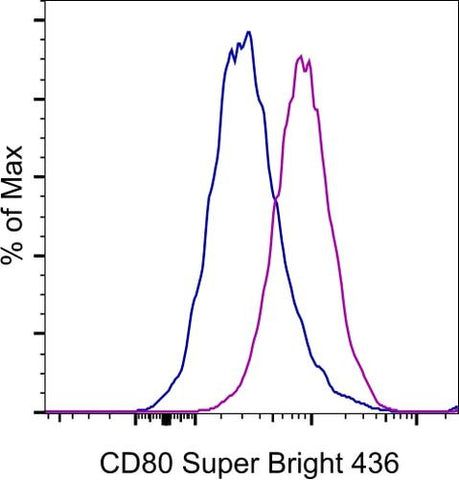 CD80 (B7-1) Monoclonal Antibody (2D10.4), Super Bright 436, eBioscience
