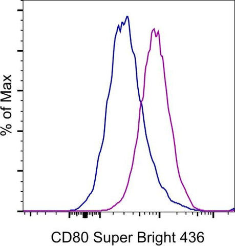 CD80 (B7-1) Monoclonal Antibody (2D10.4), Super Bright™ 436