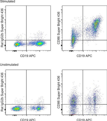 CD86 (B7-2) Monoclonal Antibody (GL1), Super Bright 436, eBioscience