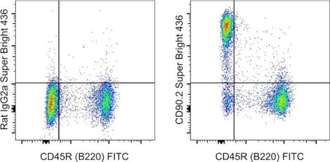 CD90.2 (Thy-1.2) Monoclonal Antibody (53-2.1), Super Bright 436, eBioscience