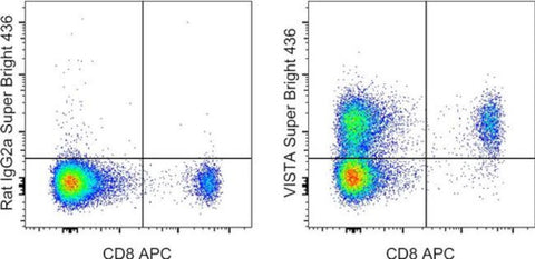 VISTA Monoclonal Antibody (MIH64), Super Bright 436, eBioscience