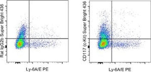 CD117 (c-Kit) Monoclonal Antibody (2B8), Super Bright 436, eBioscience