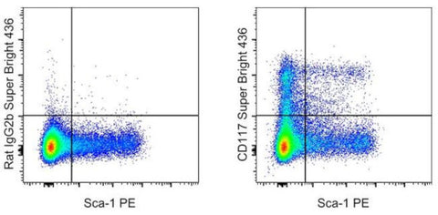 CD117 (c-Kit) Monoclonal Antibody (ACK2), Super Bright 436, eBioscience