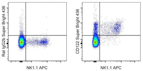 CD122 Monoclonal Antibody (TM-b1 (TM-beta1)), Super Bright 436, eBioscience