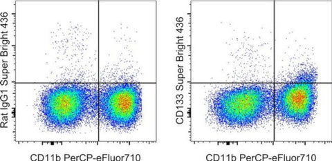 CD133 (Prominin-1) Monoclonal Antibody (13A4), Super Bright 436, eBioscience