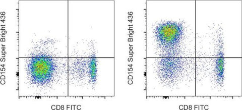 CD154 (CD40 Ligand) Monoclonal Antibody (24-31), Super Bright 436, eBioscience