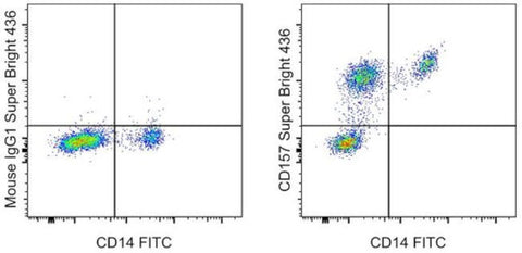 CD157 Monoclonal Antibody (eBioSY11B5 (SY11B5)), Super Bright 436, eBioscience