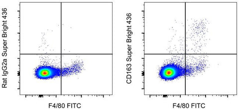 CD163 Monoclonal Antibody (TNKUPJ), Super Bright 436, eBioscience
