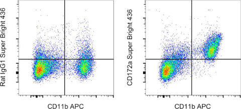 CD172a (SIRP alpha) Monoclonal Antibody (P84), Super Bright™ 436