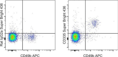 CD335 (NKp46) Monoclonal Antibody (29A1.4), Super Bright 436, eBioscience