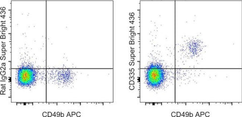 CD335 (NKp46) Monoclonal Antibody (29A1.4), Super Bright™ 436