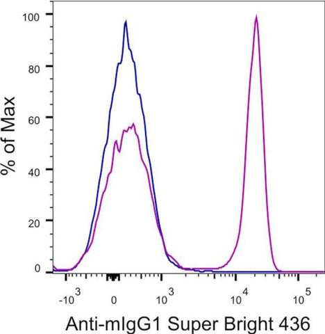 Rat anti-Mouse IgG1 Secondary Antibody, Super Bright 436, eBioscience