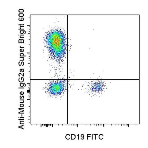 Rat anti-Mouse IgG2a Secondary Antibody, Super Bright™ 600