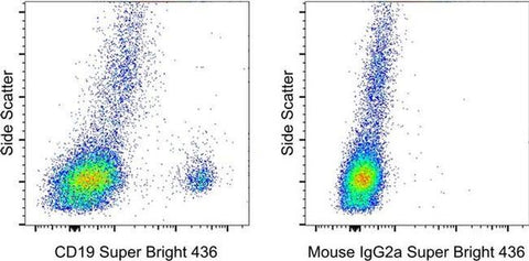 Mouse IgG2a kappa Isotype Control (eBM2a), Super Bright™ 436