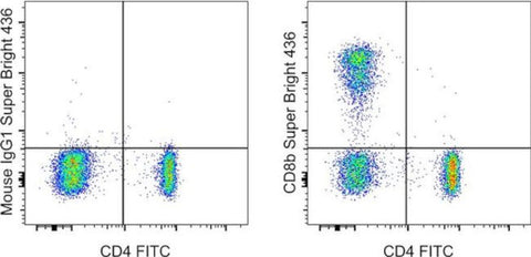 CD8b Monoclonal Antibody (SIDI8BEE), Super Bright 436, eBioscience