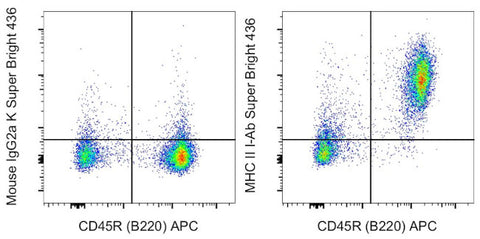 MHC Class II I-Ab Monoclonal Antibody (AF6-120.1), Super Bright 436, eBioscience