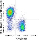 MHC Class II (I-A/I-E) Monoclonal Antibody (M5/114.15.2), Super Bright™ 436