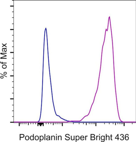 Podoplanin Monoclonal Antibody (eBio8.1.1(8.1.1)), Super Bright™ 436