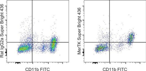 MERTK Monoclonal Antibody (DS5MMER), Super Bright 436, eBioscience